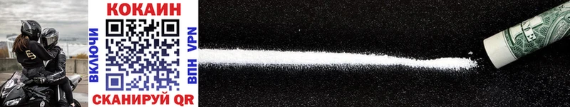 Купить закладки  Звенигово  Cocaine Эквадор 