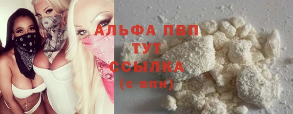PSILOCYBIN Лиски