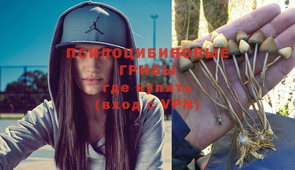 стаф Лихославль