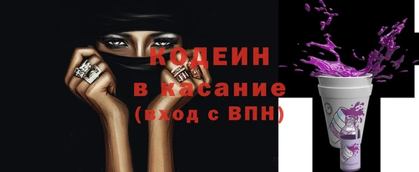 индика Братск