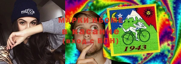индика Братск