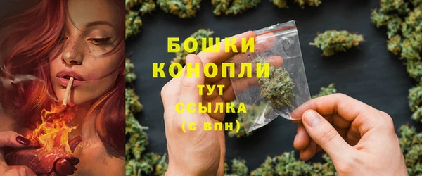 PSILOCYBIN Лиски