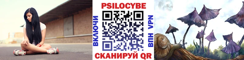 Купить где  Звенигово  Галлюциногенные грибы мицелий 